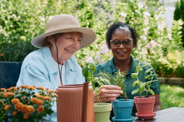 Home Instead new outlets