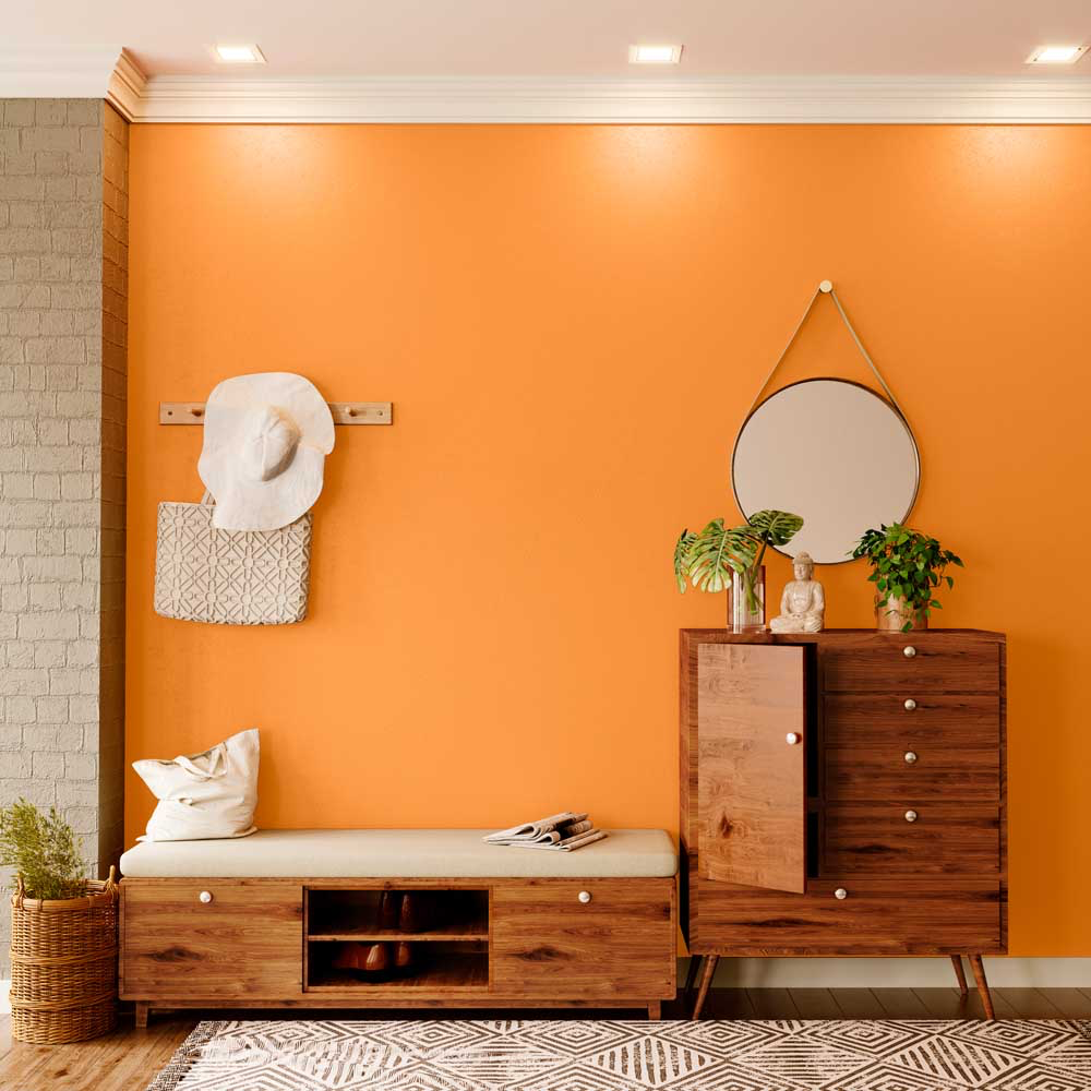 Asian Paints product images
