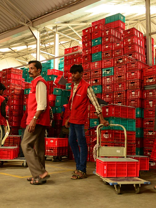 BigBasket design & decor