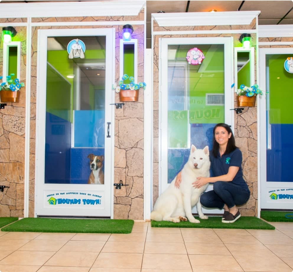 Hounds Town USA design & decor