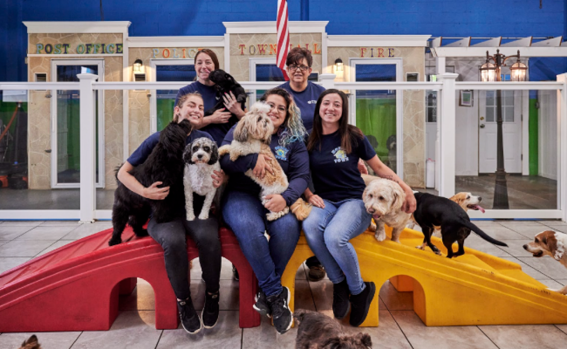 Hounds Town USA design & decor