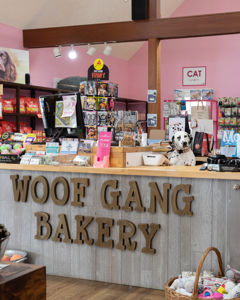 Woof Gang Bakery design & decor