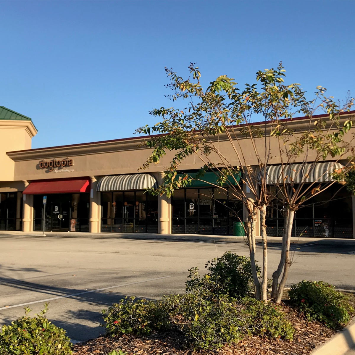 Dogtopia new outlets
