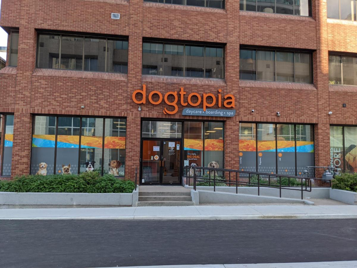 Dogtopia new outlets