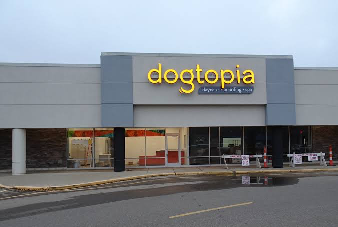 Dogtopia new outlets