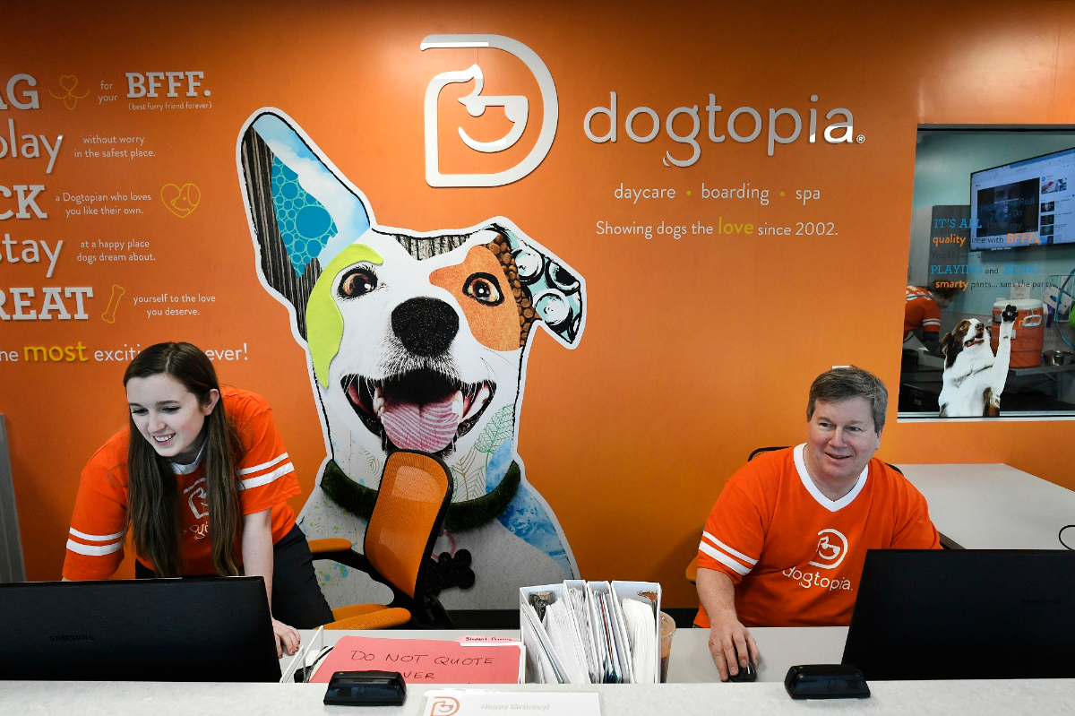 Dogtopia design & decor