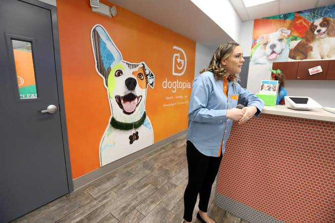 Dogtopia design & decor