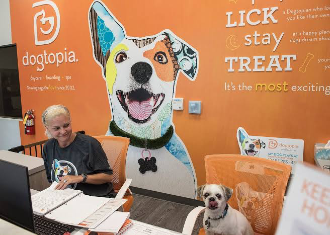 Dogtopia design & decor