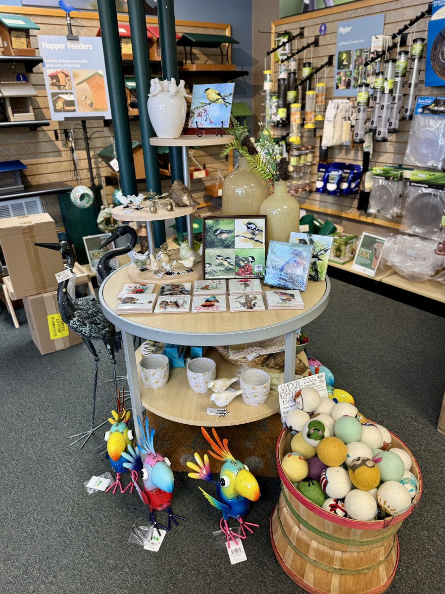 Wild Birds Unlimited design & decor