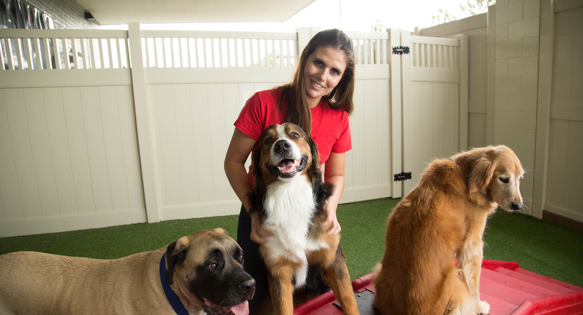 Camp Bow Wow design & decor
