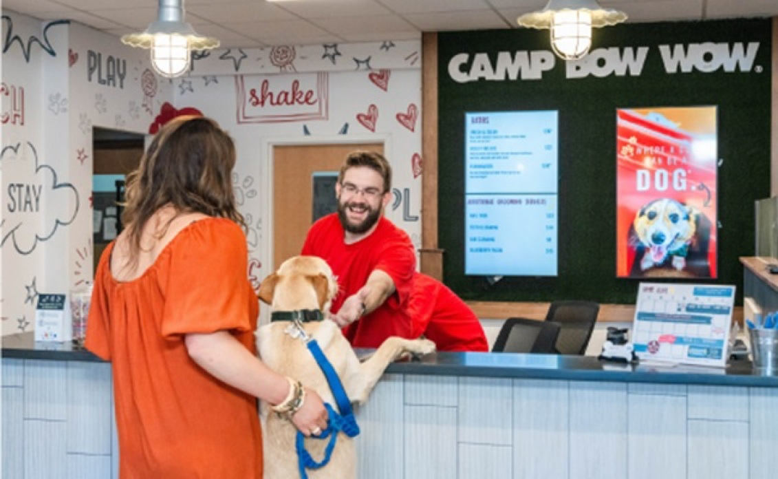Camp Bow Wow design & decor