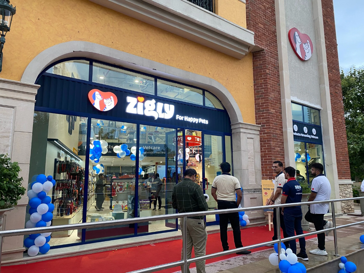 Zigly new outlets