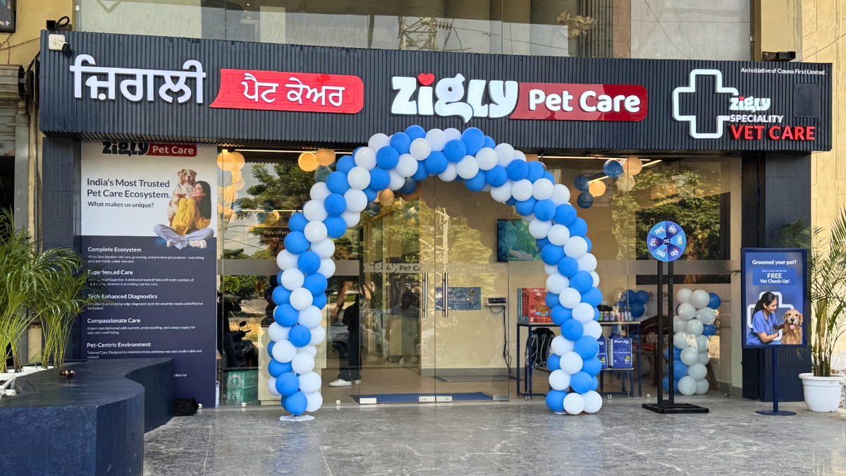 Zigly new outlets